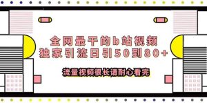 全网最干的b站视频独家引流日引50到80+流量视频很长请耐心看完-逍遥游