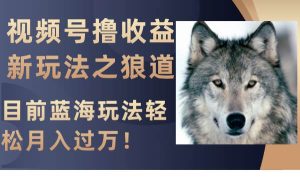 视频号撸收益新玩法之狼道，目前蓝海玩法轻松月入过万！-逍遥游