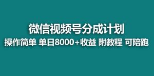 【蓝海项目】视频号分成计划,单天收益8000+,附玩法教程!可陪跑-逍遥游