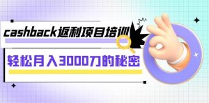 cashback返利项目培训:轻松月入3000刀的秘密(8节课)-逍遥游