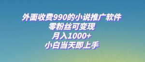 小说推广软件，零粉丝可变现，月入1000+，小白当天即上手【附189G素材】-逍遥游
