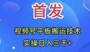全网首发：视频号平板搬运技术，实操日入三千＋-逍遥游