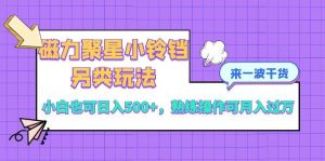 磁力聚星小铃铛另类玩法，小白也可日入500+，熟练操作可月入过万-逍遥游