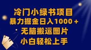 【全网首发】冷门小绿书暴力掘金日入1000＋，无脑搬运图片小白轻松上手-逍遥游