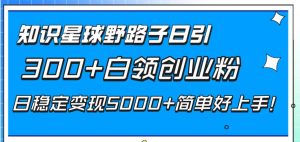 知识星球野路子日引300+白领创业粉，日稳定变现5000+简单好上手！-逍遥游