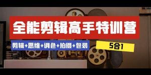 全能剪辑-高手特训营:剪辑+思维+调色+拍摄+包装(5合1)53节课-逍遥游
