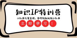 知识IP特训营 :小红书-流量变现,带你轻松玩转小红书(23节视频课)-逍遥游