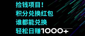 捡钱项目！积分兑换红包，谁都能兑换，轻松日赚1000+-逍遥游