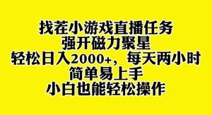 找茬小游戏直播,强开磁力聚星,轻松日入2000+,小白也能轻松上手-逍遥游