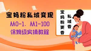 宝妈粉私域变现从0-1，从1-100，保姆级实操教程，长久稳定的变现之法-逍遥游
