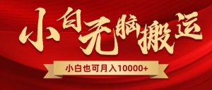 无脑搬运视频，全新平台独占玩法，一个账号每天1000+，多账号轻松扩张！-逍遥游