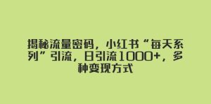 揭秘流量密码，小红书“每天系列”引流，日引流1000+，多种变现方式-逍遥游