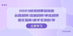 2023短视频·带货陪跑:运算规则/流量规则/审核规则/雷区指南/薅羊毛涨粉..-逍遥游