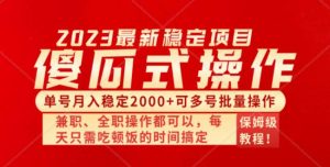 傻瓜式无脑项目 单号月入稳定2000+ 可多号批量操作 多多视频搬砖全新玩法-逍遥游