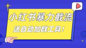 小红书截流引流大法，简单无脑粗暴，日引20-30个高质量创业粉（送自动加群软件）-逍遥游