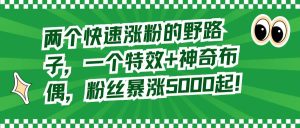 两个快速涨粉的野路子，一个特效+神奇布偶，粉丝暴涨5000起！-逍遥游