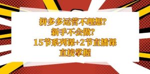 拼多多运营不理想？新手不会做？15节系列课+2节直播课，直接掌握-逍遥游