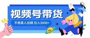 视频号带货，日入3000+，不用真人出镜-逍遥游