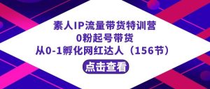 繁星·计划素人IP流量带货特训营:0粉起号带货 从0-1孵化网红达人(156节)-逍遥游