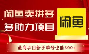 闲鱼卖拼多多助力项目,蓝海项目新手单号也能300+-逍遥游