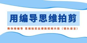 用编导的思维拍剪，教你用编导 思维拍剪出爆款视频片段（镜头语言）-逍遥游