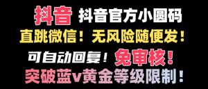 抖音二维码直跳微信技术！站内随便发不违规！！-逍遥游
