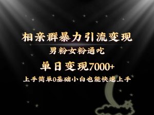 全网首发相亲群暴力引流男粉女粉通吃变现玩法,单日变现7000+保姆教学1.0-逍遥游