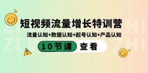短视频流量增长特训营：流量认知+数据认知+起号认知+产品认知（10节课）-逍遥游