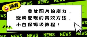 美女图片的魔力，涨粉变现的高效方法，小白保姆级教程！-逍遥游