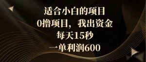 适合小白的项目，0撸项目，我出资金，每天15秒，一单利润600-逍遥游