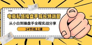 电商私域-操盘手成长特训营：从小白到操盘手全程实战分享-24节线上课-逍遥游