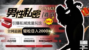 全网最新男性私密赛道玩法，引爆私域流量，轻松日入2000+-逍遥游