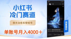小红书冷门赛道，夜光治愈系壁纸号，单号月入4000＋-逍遥游