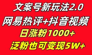 文案号新玩法 网易热评+抖音文案 一天涨粉1000+ 多种变现模式 泛粉也可变现-逍遥游