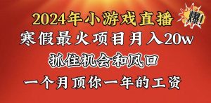 2024年寒假爆火项目，小游戏直播月入20w+，学会了之后你将翻身-逍遥游