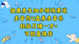 健康养生细分领域赛道,卖音药U盘养生音乐,轻松月赚一万+,可批量操作-逍遥游