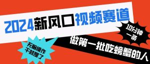 2024新风口视频赛道 做第一批吃螃蟹的人 10分钟一条原创视频 小白无脑操作1-逍遥游