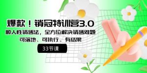 爆款!销冠特训营3.0之顺人性销售法,全方位解决销售难题、可落地、可执行、有结果-逍遥游