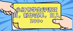 小红书学生评语项目，制作简单，日入200+（附资源素材）-逍遥游