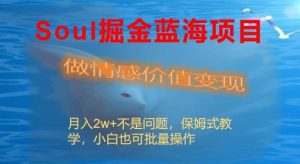 Soul掘金蓝海项目细分赛道，做情感价值变现，月入2w+不是问题-逍遥游