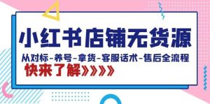 小红书店铺无货源：从对标-养号-拿货-客服话术-售后全流程（20节课）-逍遥游