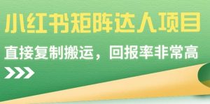 小红书矩阵达人项目，直接复制搬运，回报率非常高-逍遥游