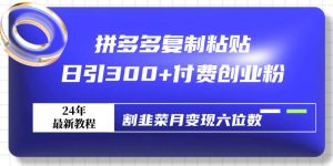 拼多多复制粘贴日引300+付费创业粉，割韭菜月变现六位数最新教程！-逍遥游