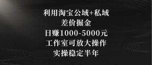 利用淘宝公域+私域差价掘金，日赚1000-5000元，工作室可放大操作，实操…-逍遥游