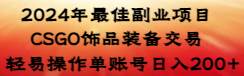 2024年最佳副业项目 CSGO饰品装备交易 轻易操作单账号日入200+-逍遥游