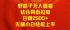 无人直播野路子结合网盘拉新，日赚2500+多平台变现，小白无脑轻松上手操作-逍遥游