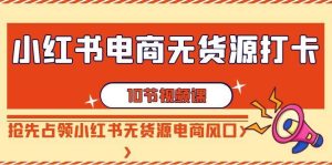 小红书电商-无货源打卡，抢先占领小红书无货源电商风口（10节课）-逍遥游