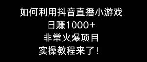 如何利用抖音直播小游戏日赚1000+，非常火爆项目，实操教程来了！-逍遥游
