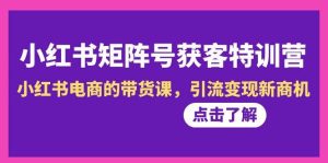 小红书-矩阵号获客特训营-第10期，小红书电商的带货课，引流变现新商机-逍遥游