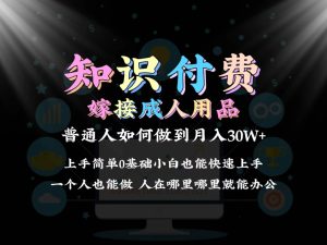 2024普通人做知识付费结合成人用品如何实现单月变现30w保姆教学1.0-逍遥游